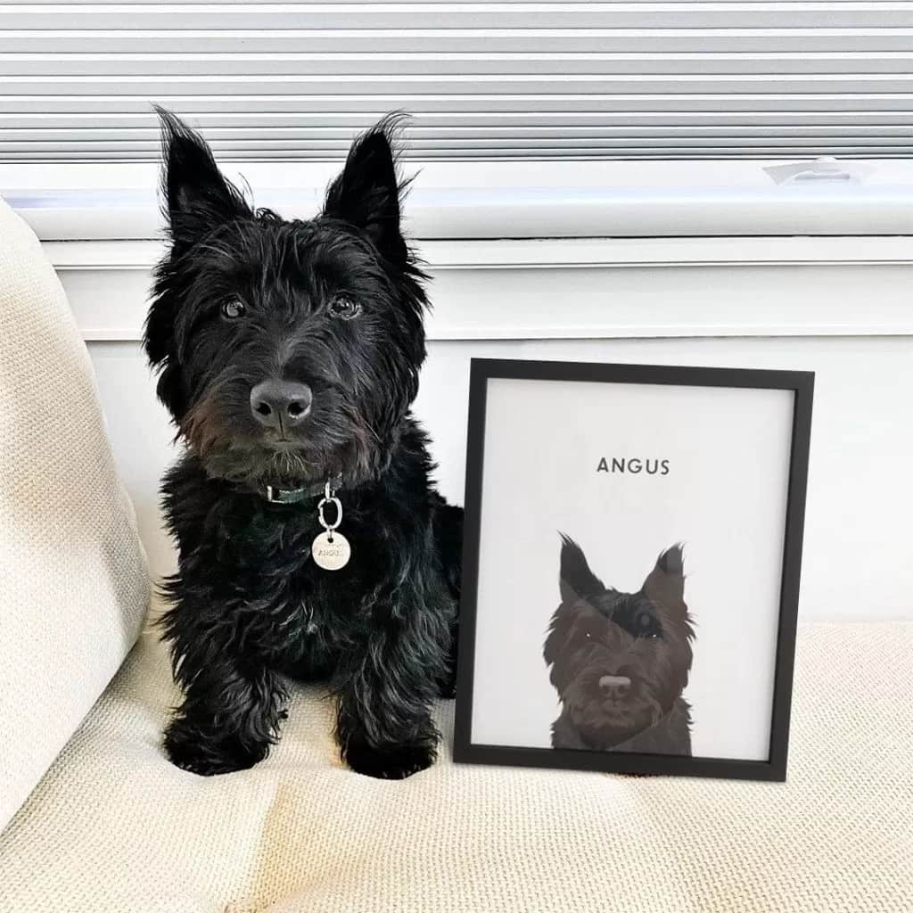 Minimalistic Pet Portrait